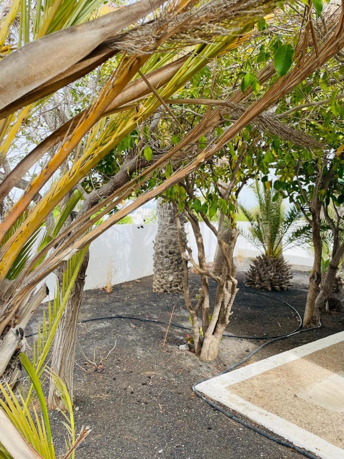 Villa Rosa Puerto del Carmen  Dış mekan fotoğraf